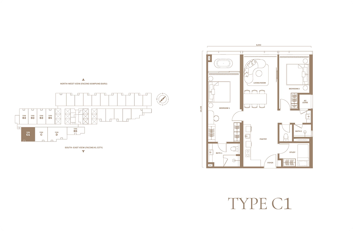 TYPE C1